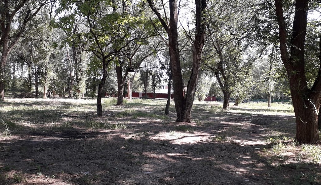 Устройство детской площадки в парковой зоне села Раздольное