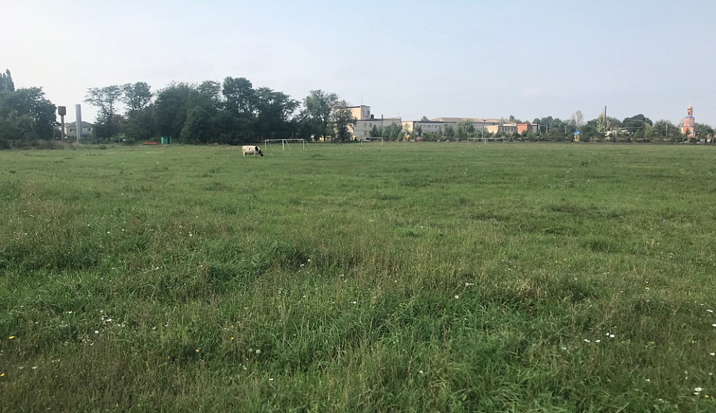 Разбивка парковой зоны по улице Шоссейная в поселке Радуга